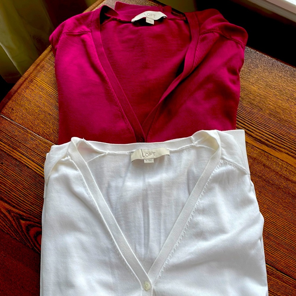 Two long sleeve V neck loft sweaters XL